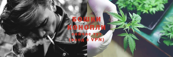 spice Сосновка