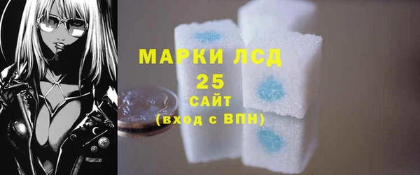 амф Сосновый Бор