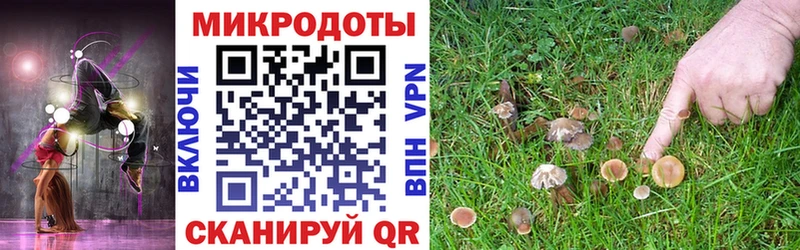 Псилоцибиновые грибы GOLDEN TEACHER  blacksprut как зайти  Валдай 